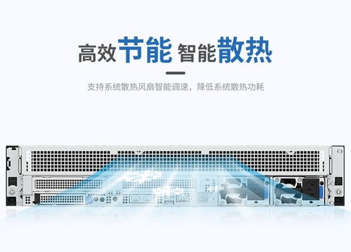 浪潮CS5260H2服务器 搭载海光5380处理器，高性能存储配置，网络技术服务方案解析